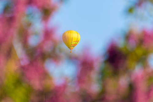 Ballon über Rheine